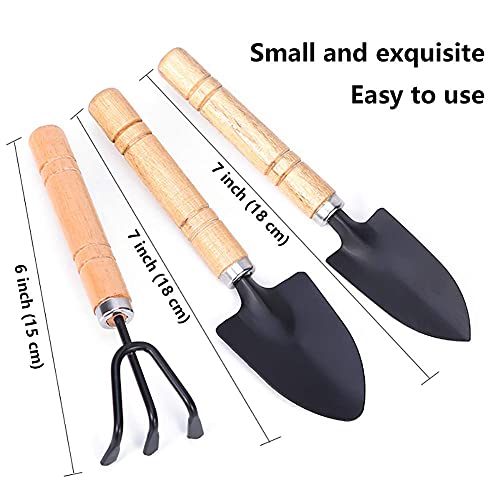 Gardening Tool Set (6 Pcs) Spade Shovel Rake for Garden Plants Care House Plants Flower Pot Cactus Vegetables Kids Indoor Small Plants Mini Medium Plant Tool Succulent Kit - view 2