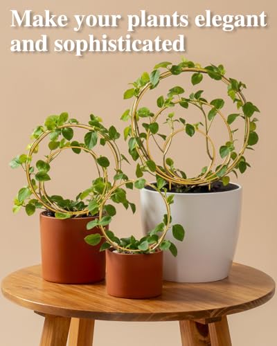 3 Pack Circle Plant Trellis Indoor, Small Metal Plant Support Stake for Climbing Plants, Different Sizes Round Garden Trellis for Ivy and Flowers Outdoor (Gold) - view 3