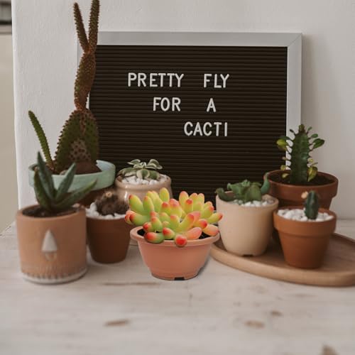 10pcs Succulent Plant Pot, Brown ABS Nursery Flowerpot - view 4