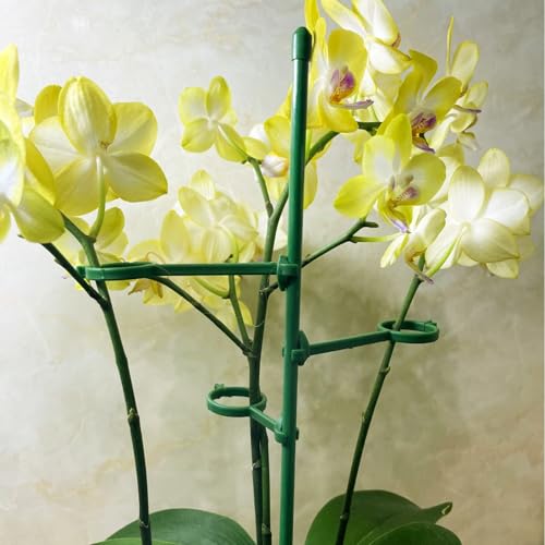 20 Set Plant Stakes 12 inch Extendable Plant Support Stakes with Adjustable Clips Rings, Flower Stem Plant Support Sticks for Indoor Outdoor Plants Stabilizer Garden Sticks for Orchid Rose Tomato - view 7