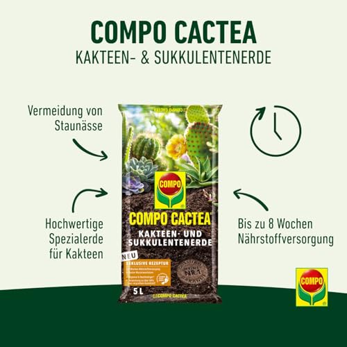 1122102004 Cactea Cactus and Succulent Soil (5 litres) - view 2
