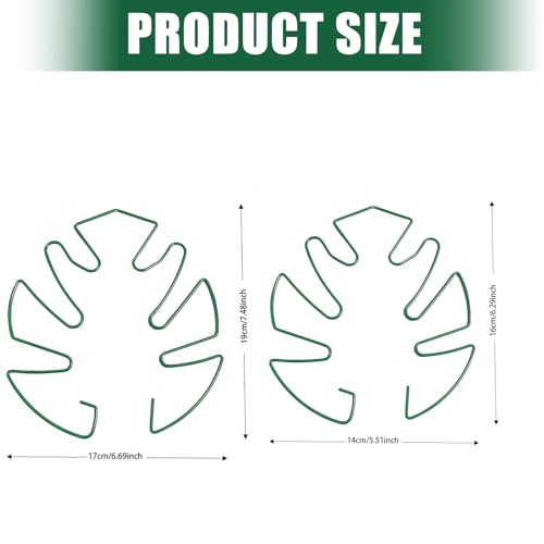 Plant-Inspired Frame for Guided Potted Plant, Green S - view 3