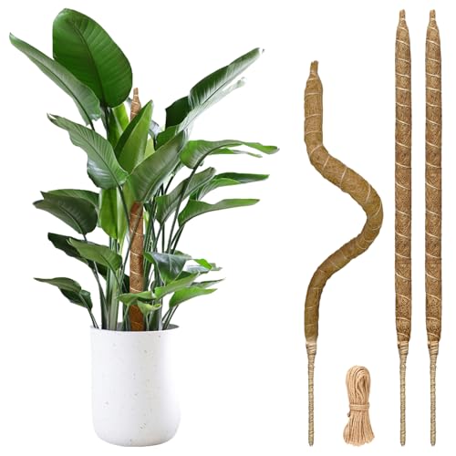 28" Bendable Plant Support Moss Pole 3 Pack for Climbing