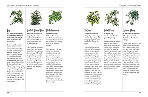 The Green Witch's Garden: Your Complete Guide to Creating and Cultivating a Magical Garden Space (Green Witch Witchcraft Series) - view 5