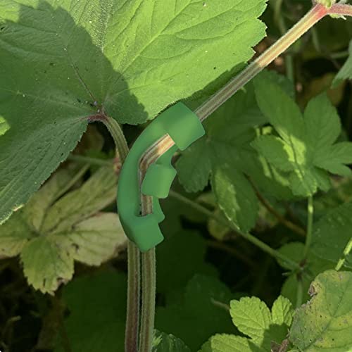 36Pcs 90 Degree Plant Trainer Clips for Low Stress Training and Trellis Growth - Bend Stems, Increase Yield & Airflow - view 5