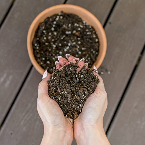 Potting Soil for Ferns (8 Quarts), Hand Blended Soil Mixture for Planting and Re-Potting Indoor and Outdoor Ferns - view 6
