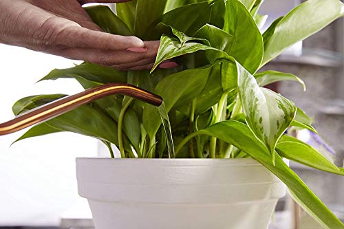 Indoor Plant Food, 8-Ounce (Plant Fertilizer) (2 Pack) - view 6