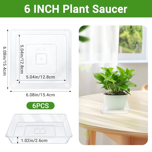 6 Inch Square Plant Saucer, 6 PCS Plastic Tray for Pot-Fits Planters Up to 5″ Bottom Diameter, Durable Thick Flower Pot Plant Drip No Holes for Indoor Outdoor Planter(Clear) - view 2