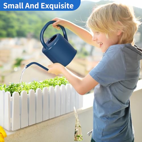 Watering Can, Stainless Steel Watering Can for Indoor & Outdoor Plants, 1L/35oz Long Spout Water Can with Handle, Rust-Proof Plant Watering Pot for House Plants, Garden Flowers - view 2