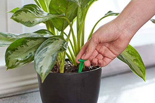 Indoor Plant Food Spikes, 48 Spikes (2-Pack) - view 2