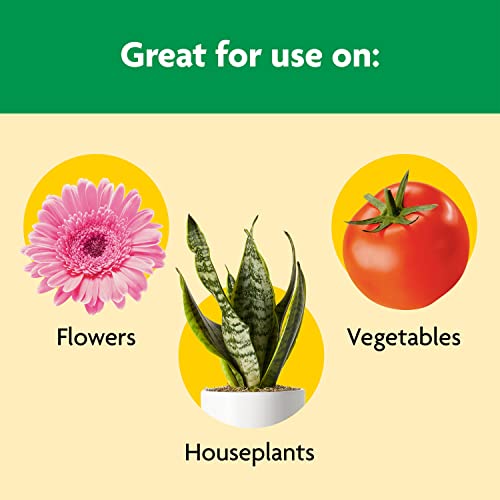 Shake 'N Feed All Purpose Plant Food, 4.5 lb. - view 5