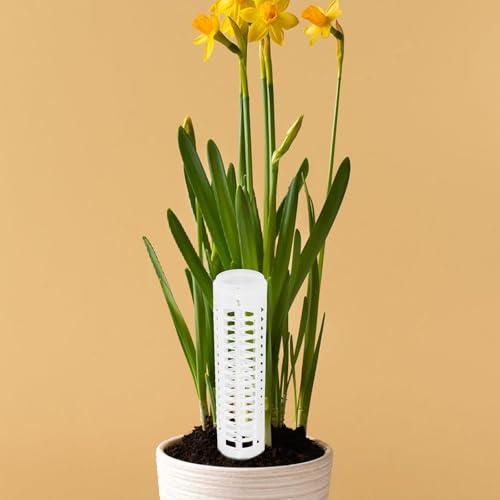 4pcs Plastic Moss Pole Plant Support Climbing Upright Growth - view 5