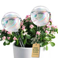 Extra-Thick Glass Plant Watering Globes, Iridescent Hand-Blown, 2 Pack