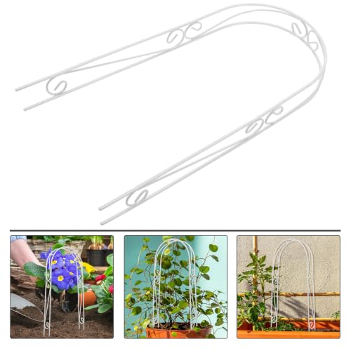 White Iron Plant Support Arch for Indoor Climbing Plants and Vines - view 7