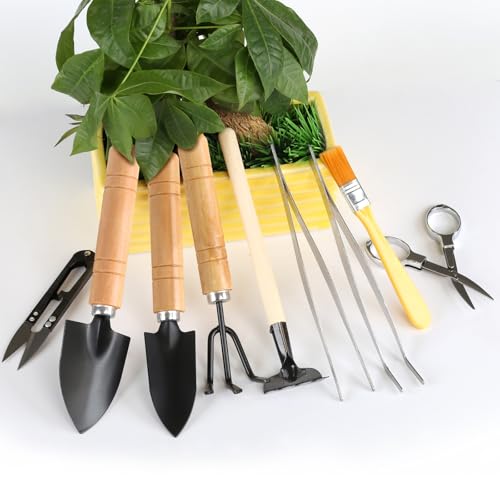 9 Pcs Basic Bonsai Tools Set, Bonsai Tree Kit, Mini Garden Tools - view 4