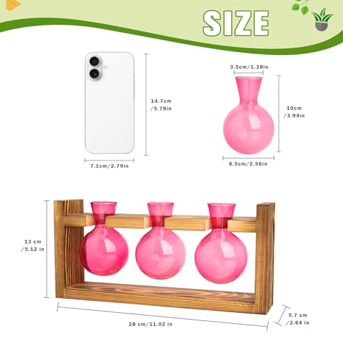 Plant Terrarium Jar Propagation Station Stand 3 Pink Bulb Vases - view 2