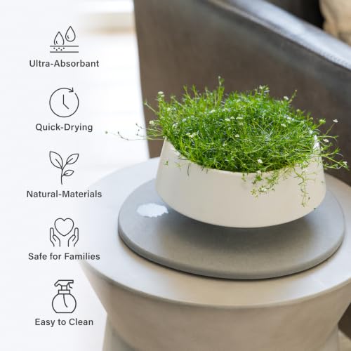 Home Stone Plant Pots Saucer Set 11.8" - Diatomite Water-Absorbing Trays for Indoor Plants, Ideal for Shelves & Floors | Pack of 2 Large - view 3