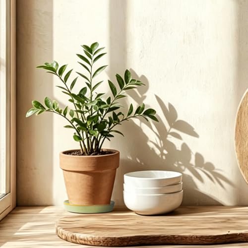 Plant Saucer, 2-Pack 5.3 Inch Ceramic Planter Saucers, Glazed Plant Pot Saucers, Drainage Drip Water Tray, Sturdy Plant Trays for Indoors Outdoors Garden Potted Plants (Sage Green) - view 5