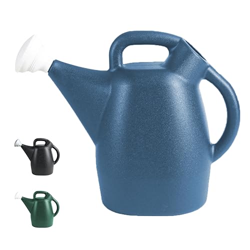 48010 2-Gallon Watering Can, Drip-Free Spout for Clean Pour