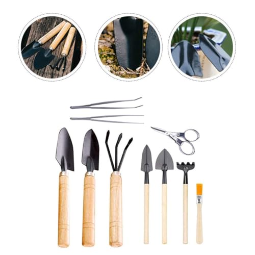 10pcs Mini Garden Tools Set Wooden Succulent Planting Kit for Cacti - view 7