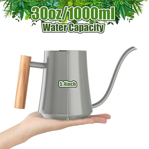 1L/35oz Metal Watering Can Indoor with Long Spout, Gray - view 5