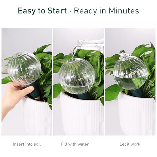 23 oz Top Fill Glass Watering Globe with Terracotta Spike - view 6