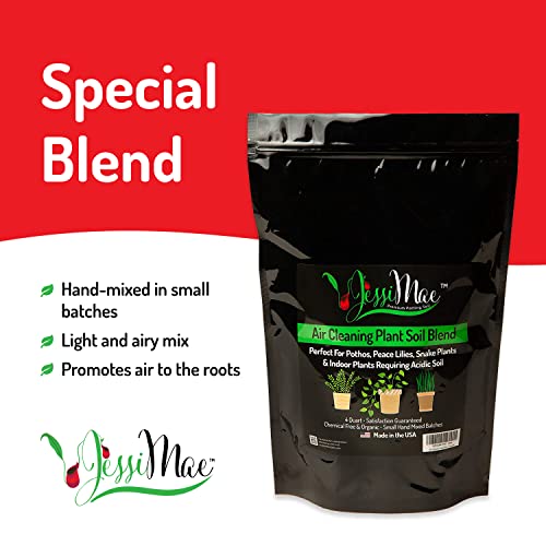 Potting Soil - 4-Quart Bag, Perlite - Well-Draining Snake Plant Soil - Slightly Acidic Potting Mix for Indoor Plants - view 4