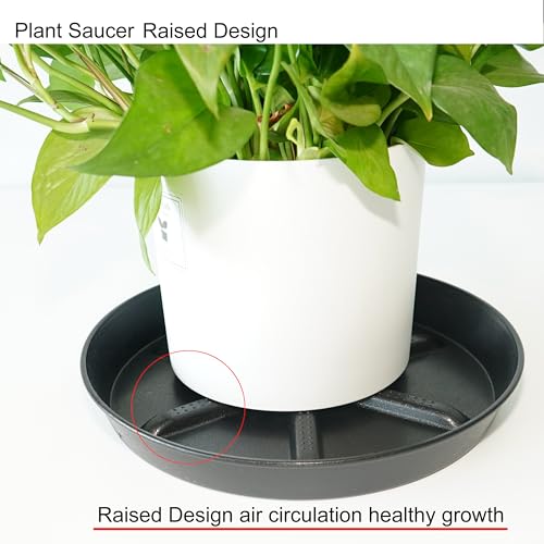 Plant Saucer 8 Inch 4 Pack Round, Sturdy Thick Plastic with Elevated Core, Better Drainage Water Catcher Tray for Flower Pots - view 4