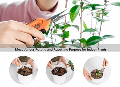 Plant Repotting Mat, 5Pcs Succulent Tools Mini Garden Small Gardening Tools Indoor, Pruning Shear Gardening Scissor, Hand kit for Bonsai, Cactus, Fairy, Houseplant Transplanting, Seedling - view 2
