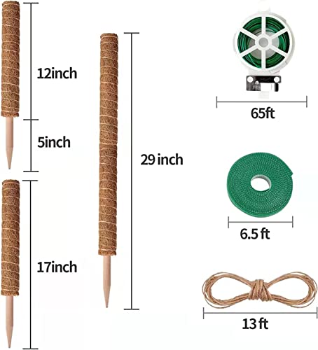 101in Moss Pole for Plants Monstera 8 Pcs - view 6