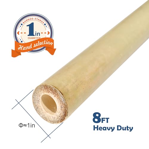 8FT Bamboo Stakes Plant Stakes 1in Thick Dia. Garden Poles 10 Pack - view 2