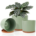 3 Pack Cylinder Planter Set 10/9/8 Inch White Indoor Plant Pots