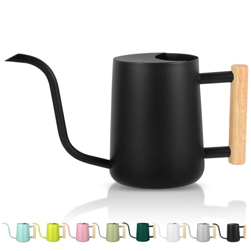 Plant Watering Can,35oz Metal Watering Can,Stainless Steel Indoor Plants with Long Curved Spout,Small Bonsai Outdoor Garden Modern Decorative(Black)