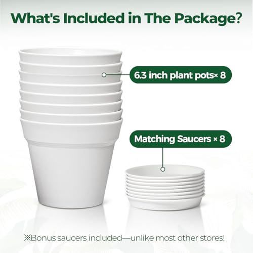 Plant Pots Indoor 6 Inch 8 Pack, Plastic Flower Pots with Saucer White - view 6
