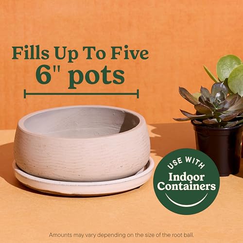 Indoor Potting Mix for Cactus & Succulent, 8 qt. (2-Pack) - view 5