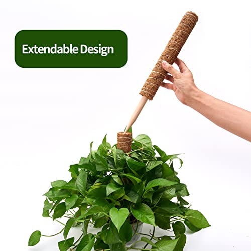Moss Pole 68in for Plants Monstera 6pcs - view 4