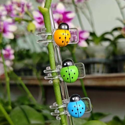 62pcs Orchid Clips Colorful Butterfly Plant Clips Ladybug Orchid Support Clips Dragonfly Vine Clips Garden Plant Vine Flower Clips - view 4