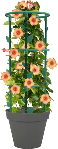 Plant Support – To be assembled – Diameter 25 x 66.3 cm – Canada Green - view 2