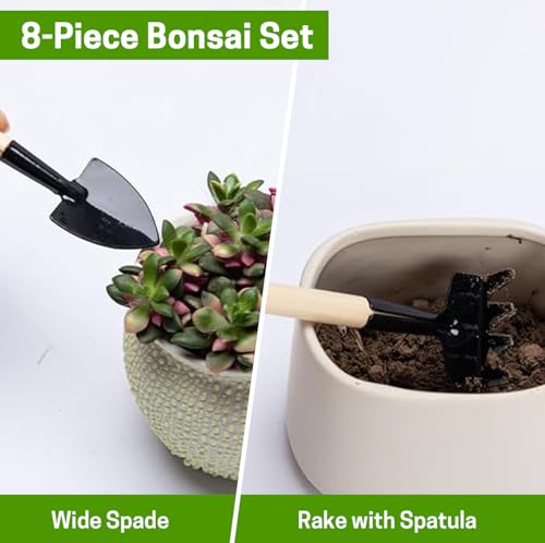 Bonsai Set 8 Pcs, Bonsai Tools Kit, Garden Tools Set - view 5