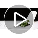 Click & Grow Indoor Herb Garden Kit with Grow Light | Smart Garden for Home Kitchen Windowsill | Easier Than Hydroponics Growing System | Vegetable Gardening Starter (3 Basil Pods Included), White - view 7