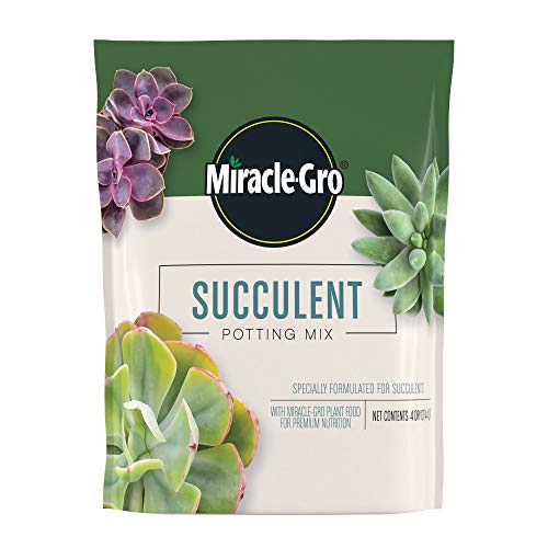 Succulent Potting Mix, 4 qt.