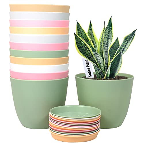 6 Inch Plant Pots, 12 Pack Plastic Planters Modern Flower Pot with Drainage Holes and Saucers for All House Plants, Herbs, Flowers and Seeding Nursery, Colorful