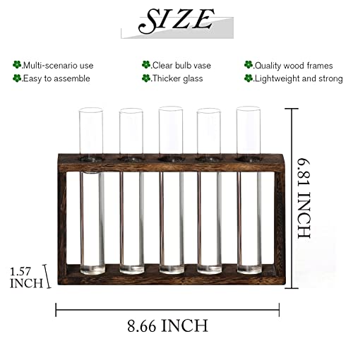 5Test Tube Plant Propagation Station Plant Terrarium Wooden Stand - view 2