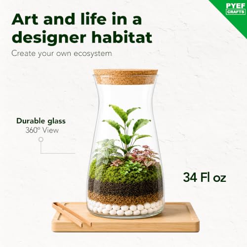 Terrarium Kit for Plants DIY - view 3