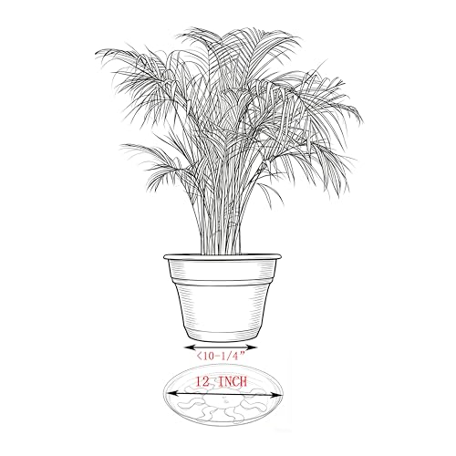 6 Pack 12 Inch Heavy Duty Clear Plastic Plant Saucer Sturdy Pot Tray Plant Drip Trays for pots,Plant Water Catcher Tray,Flower Pot Saucer Water Drainage Tray Floor Protector (12 Inch) - view 5