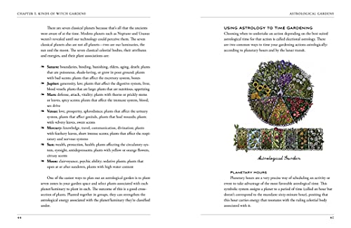 The Green Witch's Garden: Your Complete Guide to Creating and Cultivating a Magical Garden Space (Green Witch Witchcraft Series) - view 3