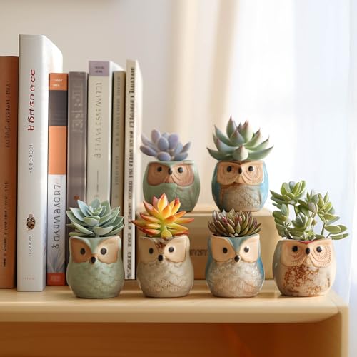 Owl Succulent Pots, Mini Ceramic Gift Pots with Drainage, Retro 6 Pack - view 4