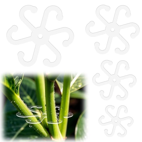 4pcs Plant Stem Support, Plant Stem Holder with Holes Acrylic Plant Trellis Stakes Monstera Plant Stabilizer Leaf Holder and Climbing Rack for Indoor & Outdoor Houseplants (4 Sizes, Transparent)