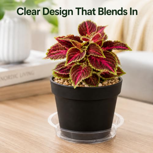Heavy Duty Clear Plastic Plant Saucers, Flower Pot Tray - Excellent for Indoor & Outdoor Plants (8-Inch, 10-Pack) - view 6