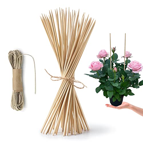 50 Pack 8" Bamboo Plant Stakes for Wood Garden Sticks，Wooden Indoor Gardening Floral Plant Support ，Potted Plants，Crafts, More Size Choices 8"/12"/16"